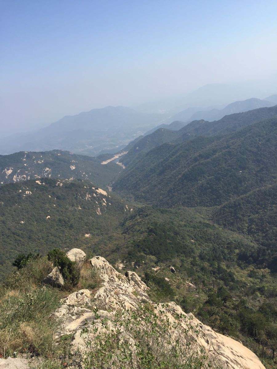 金兰山森林公园