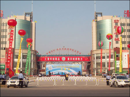  p>位于河北省清河县有一个羊绒制品市场,那里生产的羊绒制品,不仅