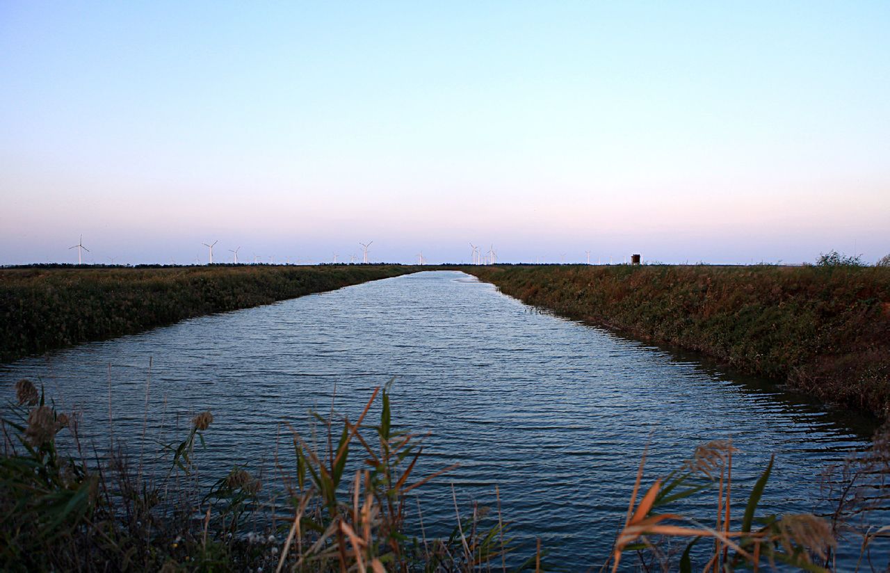 大丰国家海涂湿地公园