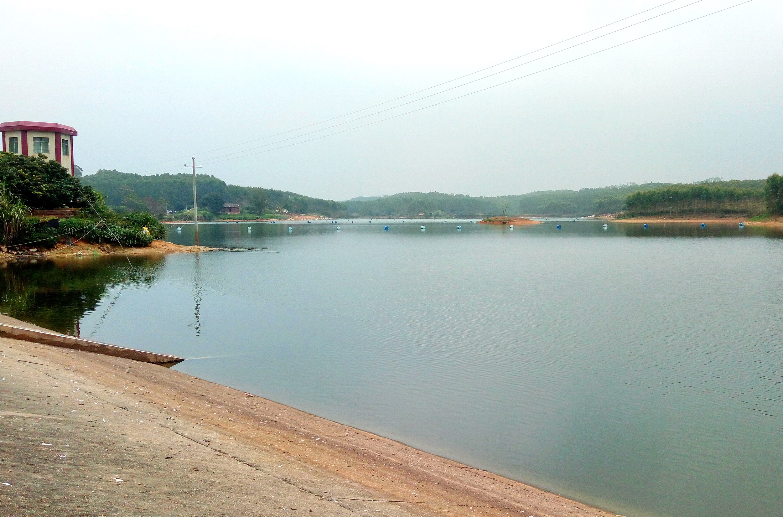 广西博白县龙潭镇