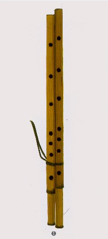 用两节苇杆连接而成,竖吹乐器.