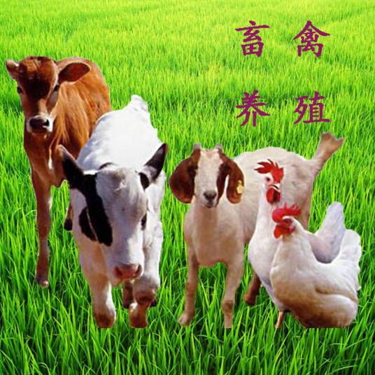 畜禽（经过长期劳动驯化的各种动物）_百度百科