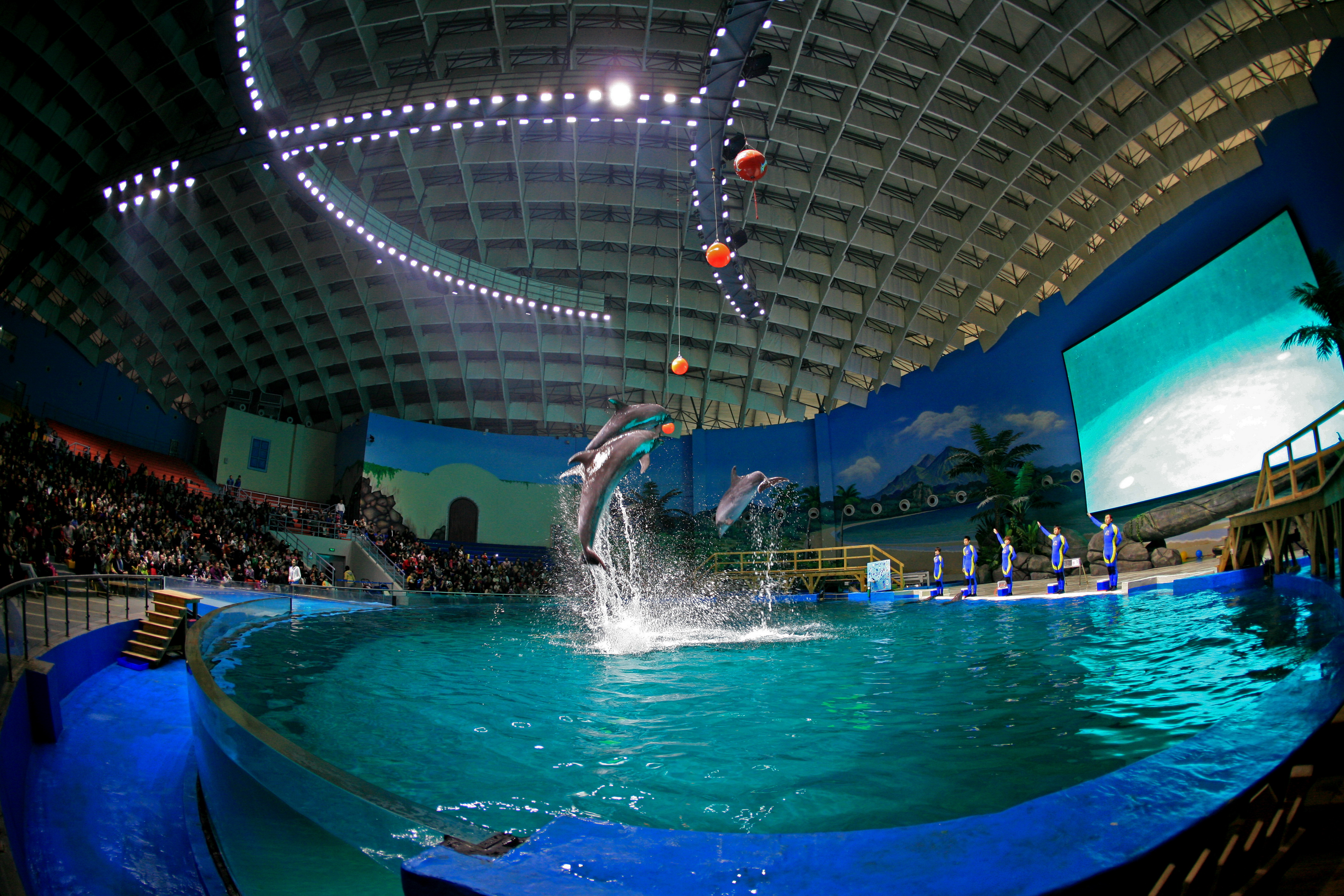  p>武汉海昌极地海洋公园是 a target="_blank" href="/item/海昌集团