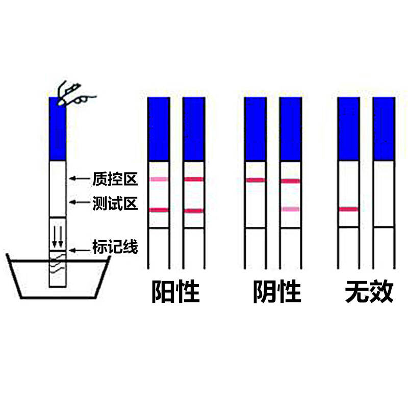 试纸条酶联免疫吸附分析方法