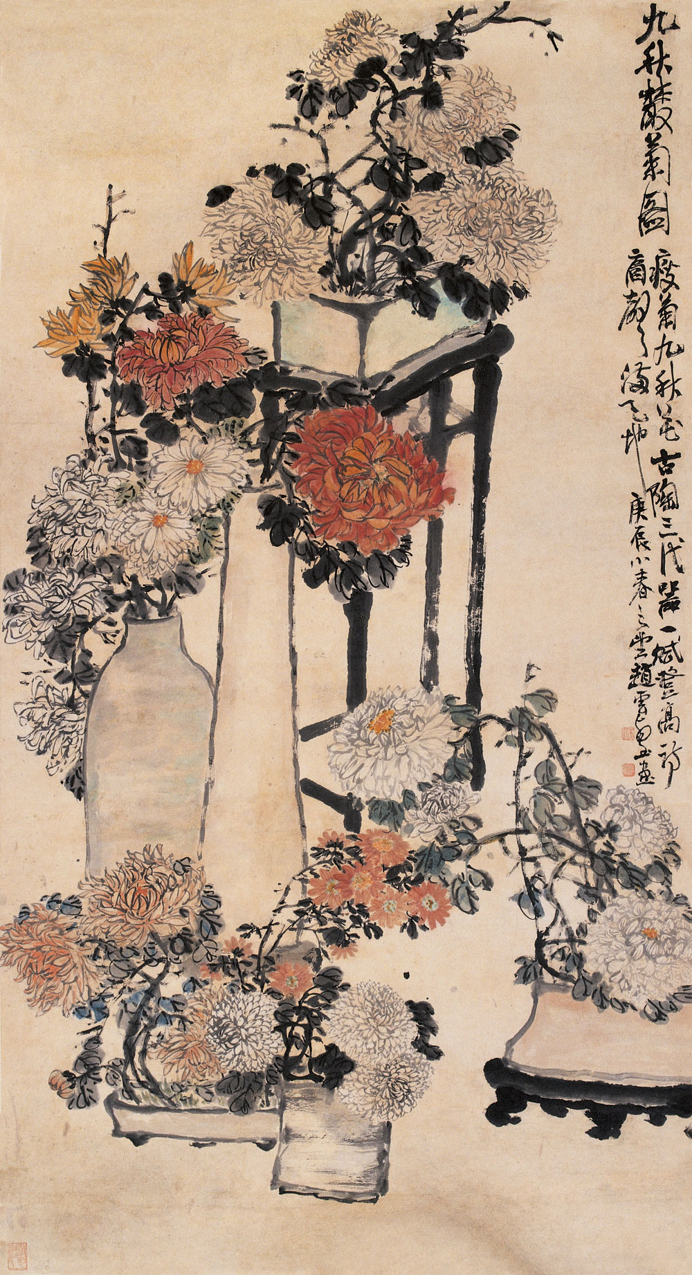 赵子云 全网资源