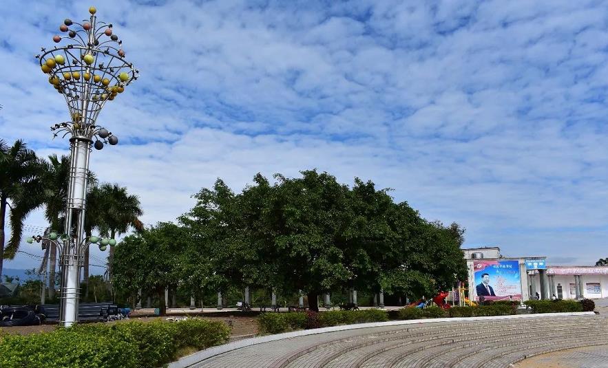 广东省 a href="#" data-lemmaid="13780935">茂名市电白区 /a>中部