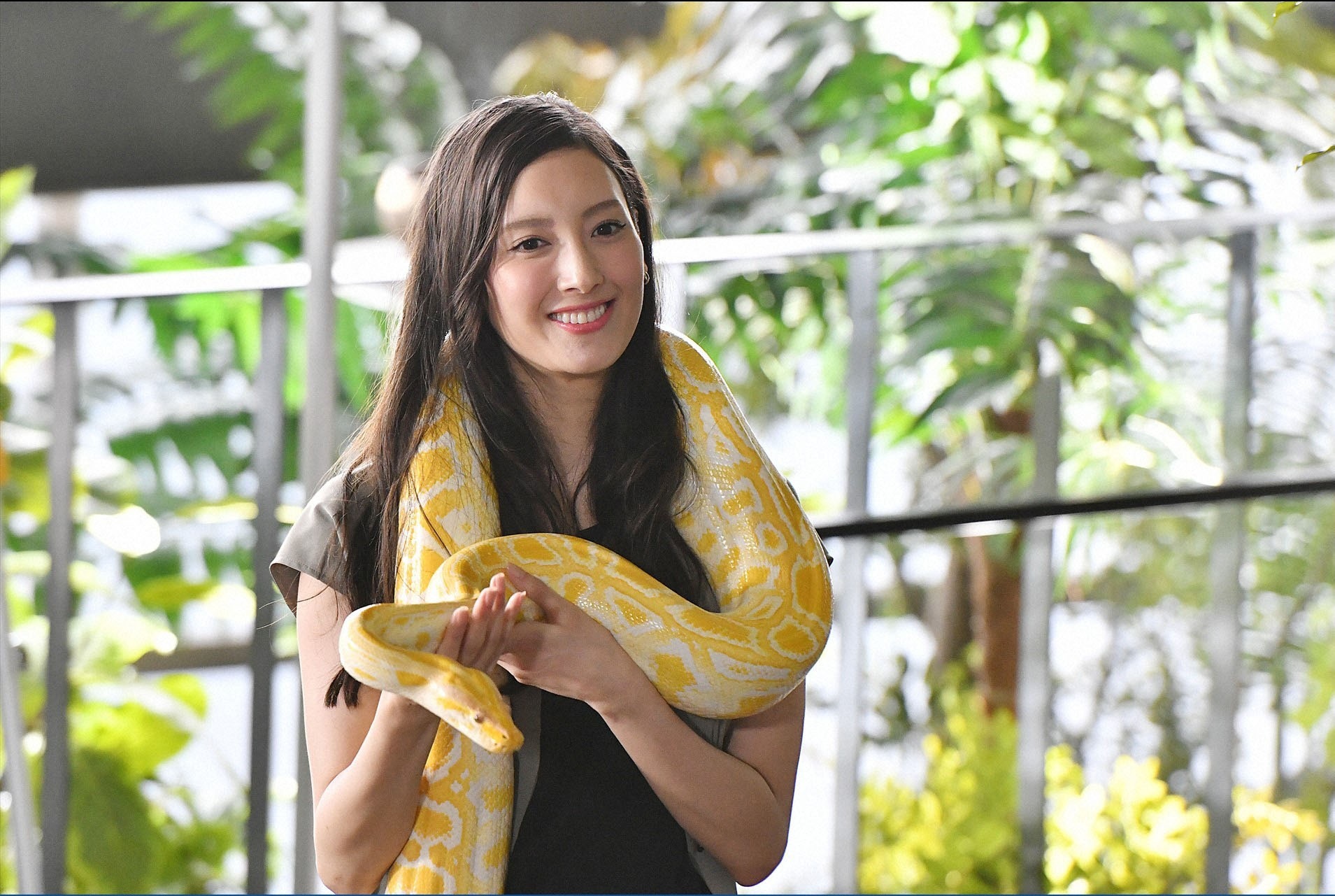  p>《in hand》 i>(日语名:インハンド) /i>是tbs电视台制作的悬疑剧