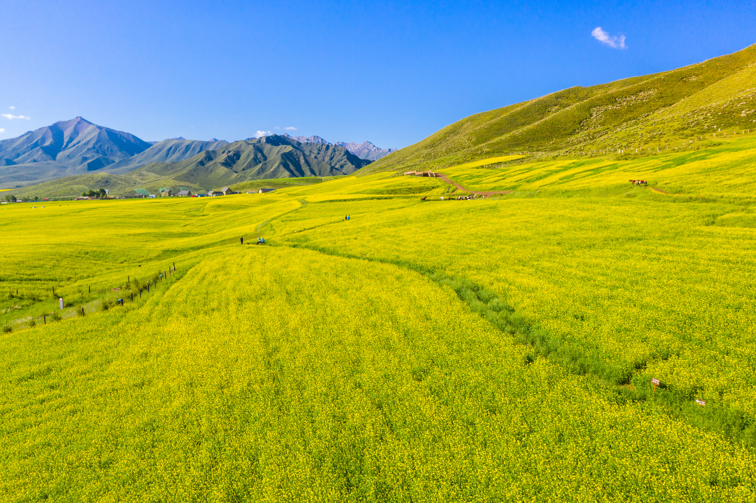 扁都口生态休闲旅游景区