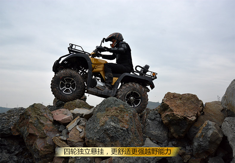 重庆狮跑沙滩车有限公司