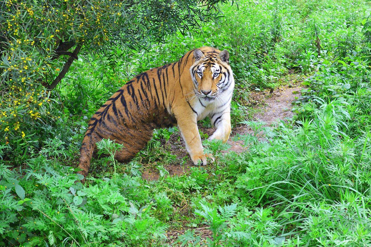 海沧野生动物园