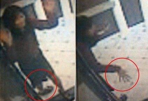 蓝可儿事件:真相大白