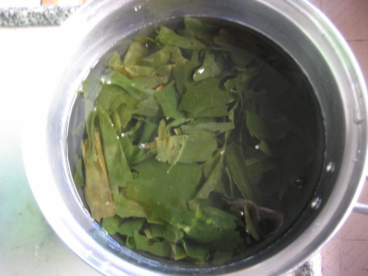 螺旋藻丝瓜蛋花汤