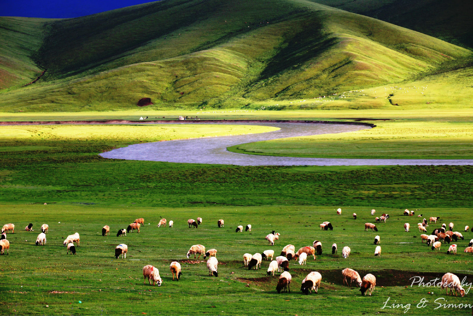 巴音布鲁克草原