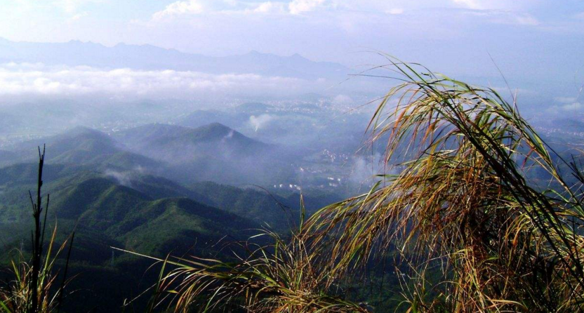 大仁山