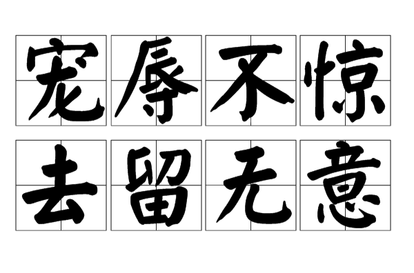 宠辱不惊,去留无意.