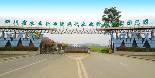  p>四川省农业科学院是 a href="#" data-lemmaid="8206928">四川省