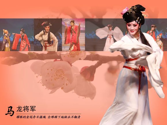  p data-id="gnyxk4nmfy">董鉴鸿,绍兴市柯桥区小百花越剧艺术传习