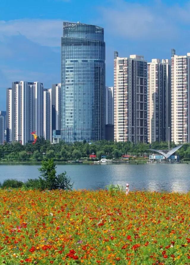 临沂铂尔曼大酒店