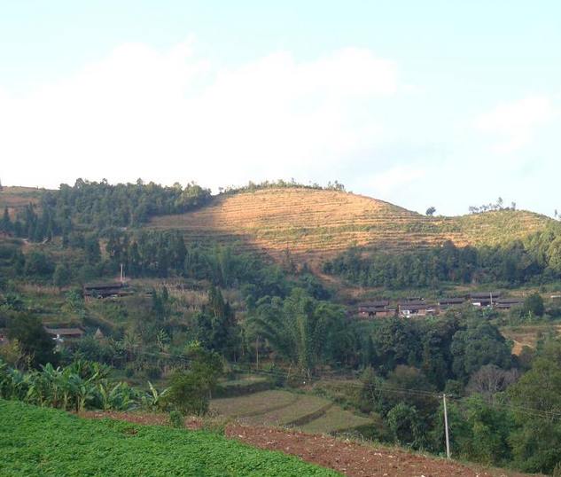  p>蚌老自然村,隶属于云南省普洱市墨江哈尼族自治县景星镇正龙村委会