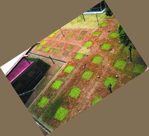 南汉国宫殿遗址