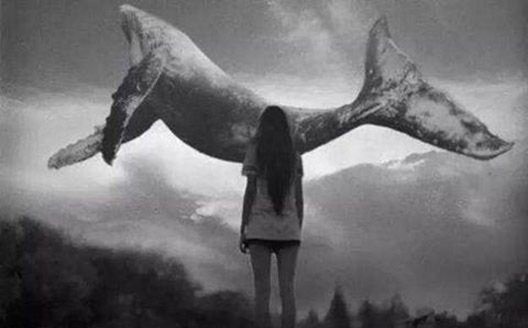  p>蓝鲸,是一款俄罗斯死亡游戏,游戏的参与者在10-14岁之间,完全顺从