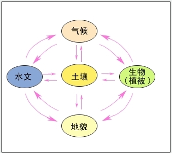 包括水,大气,生物,阳光,土壤, a href="#" data-lemmaid="256
