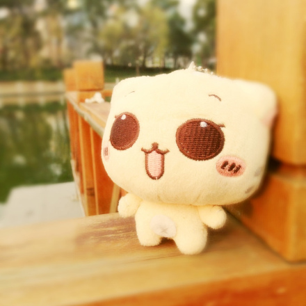 cc猫_百度百科