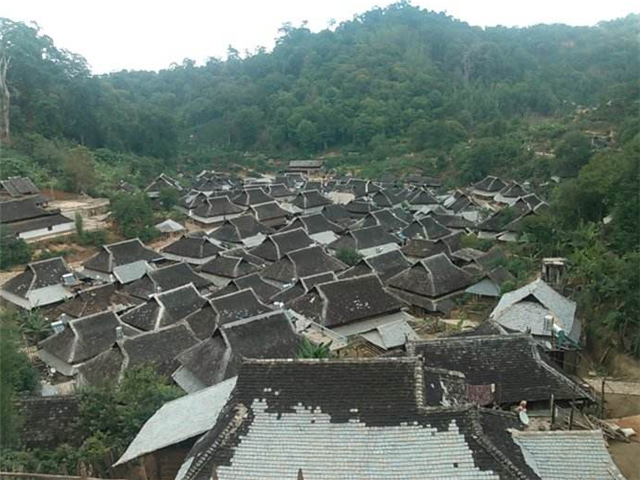  p>普洱民居位于金平县勐拉乡新勐村,分上,中,下三寨,居民为傣族,建筑