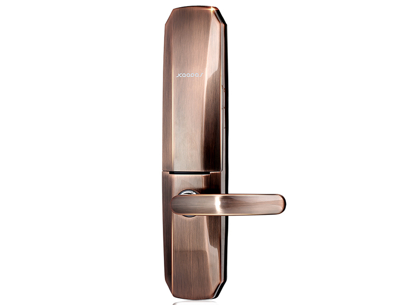  p>凯迪仕8103是凯迪仕品牌下的一款门锁. /p>