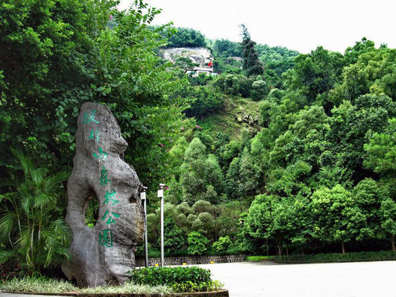 板障山森林公园