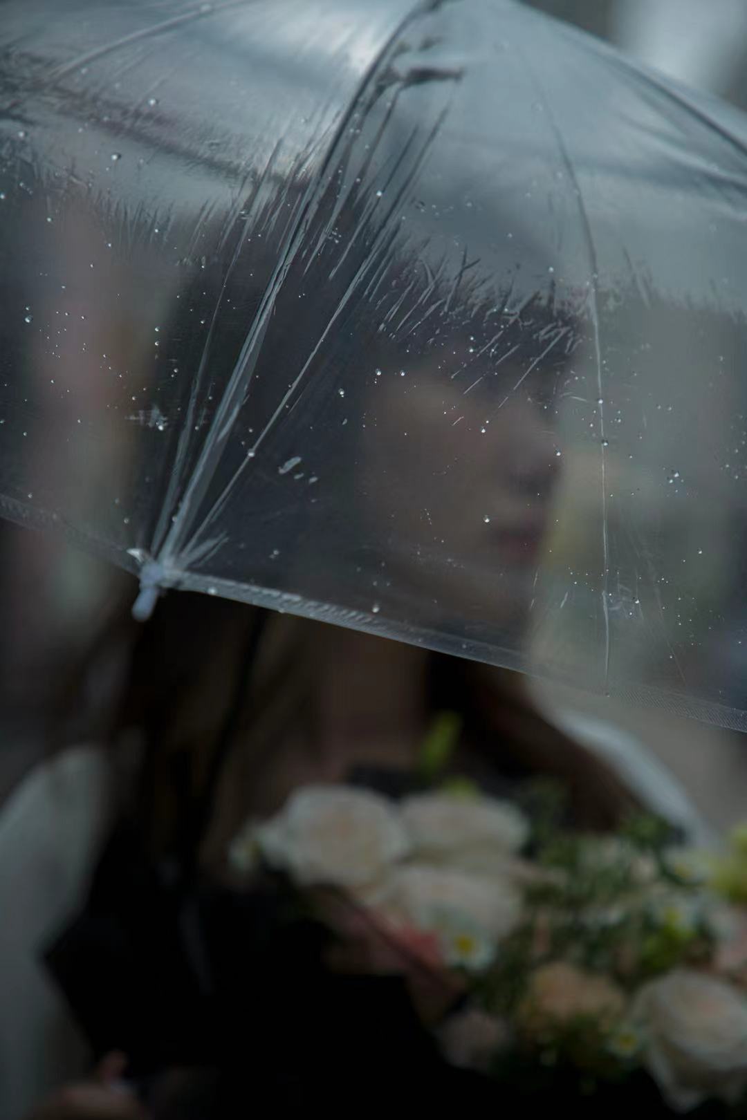 王雨桐
