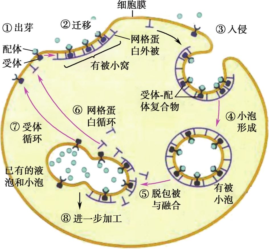 LDLIBRARYPATH的简单介绍