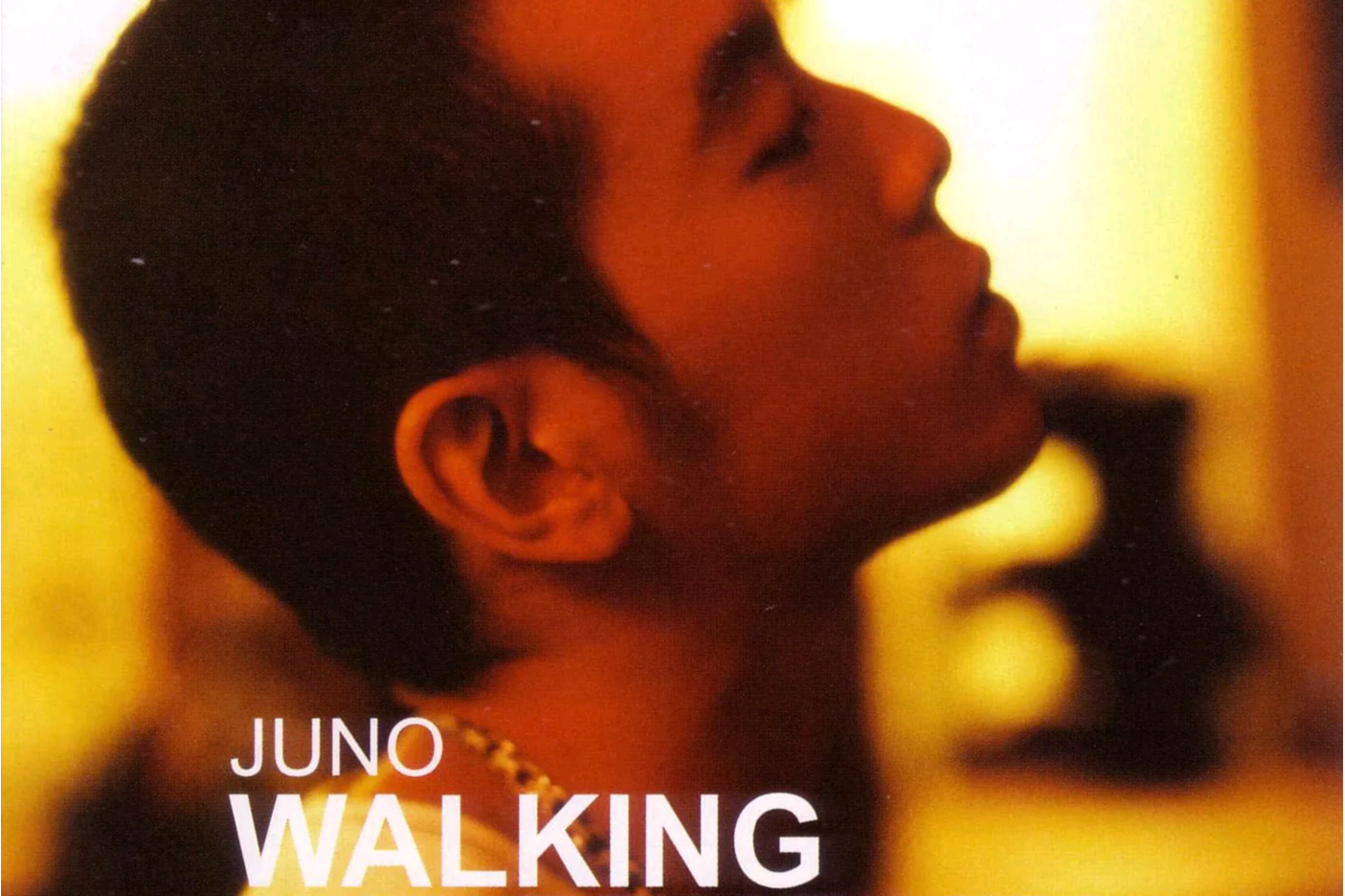 data-lemmaid="1260767">麦浚龙 /a>的一张专辑,由silly thing于2005