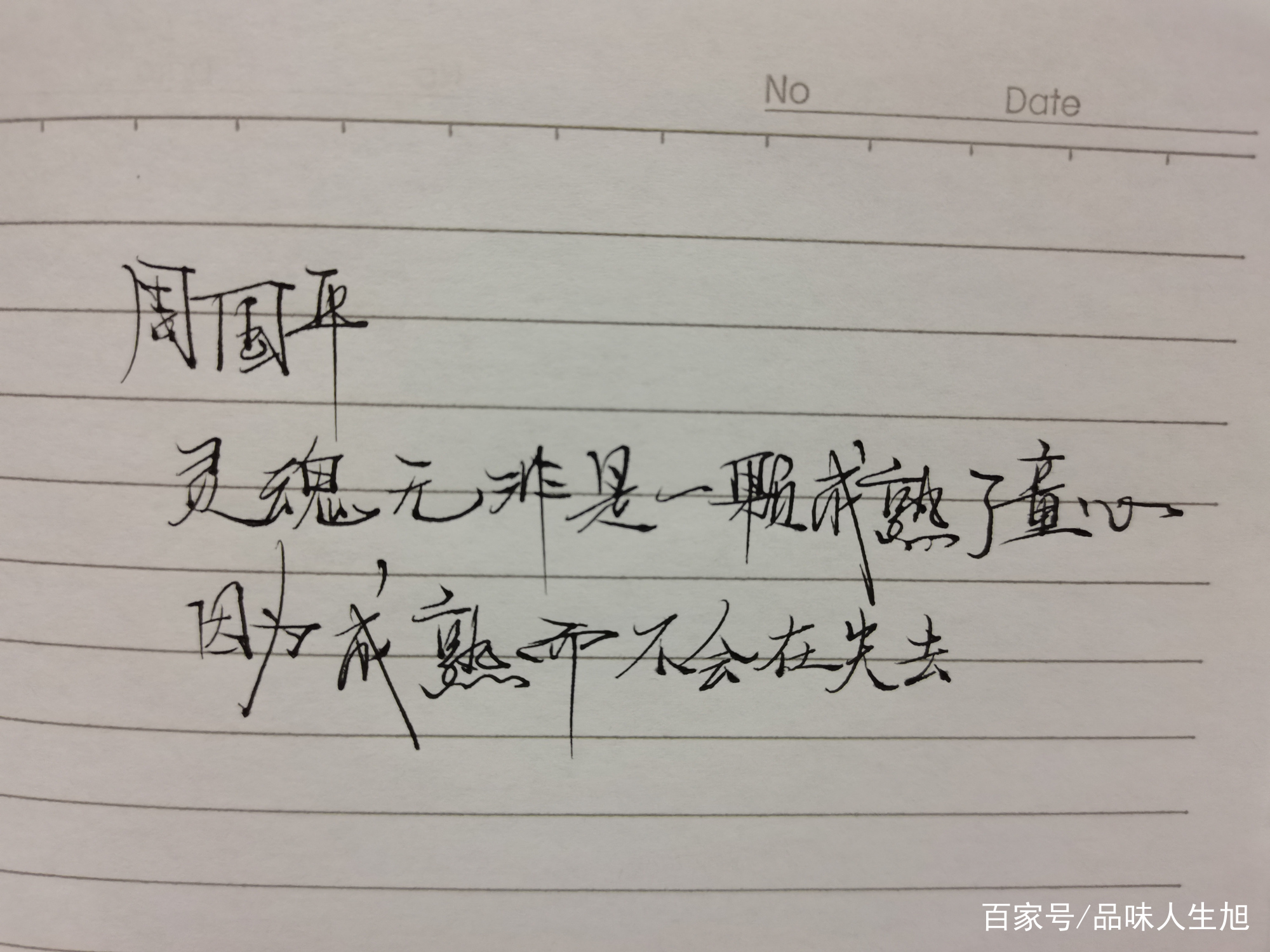 周国平30句经典语录_百科TA说