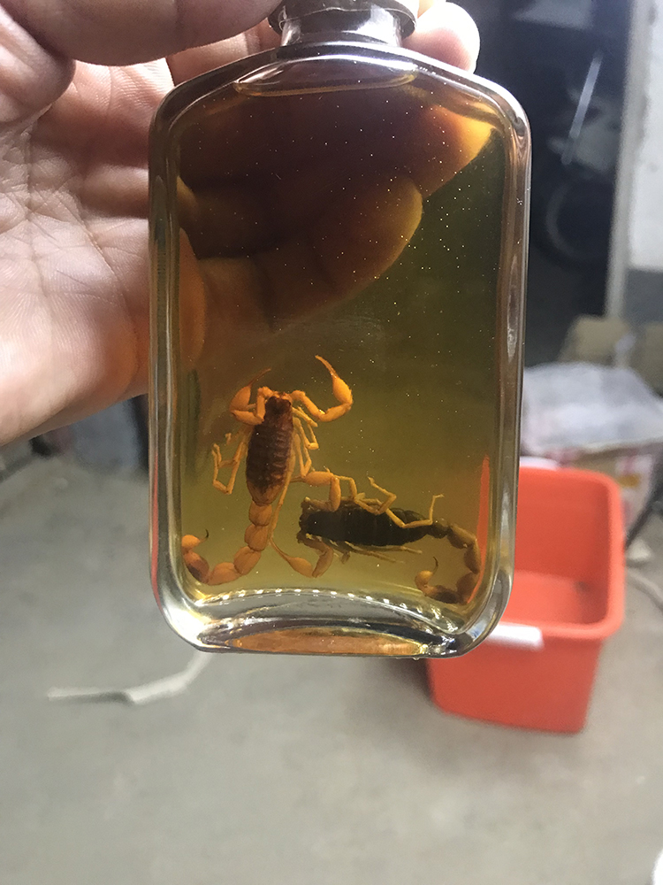 蝎子酒