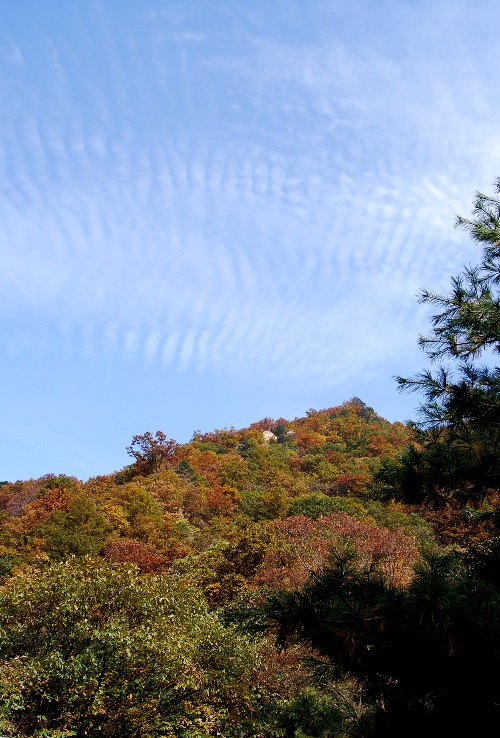 金剑山登山公园