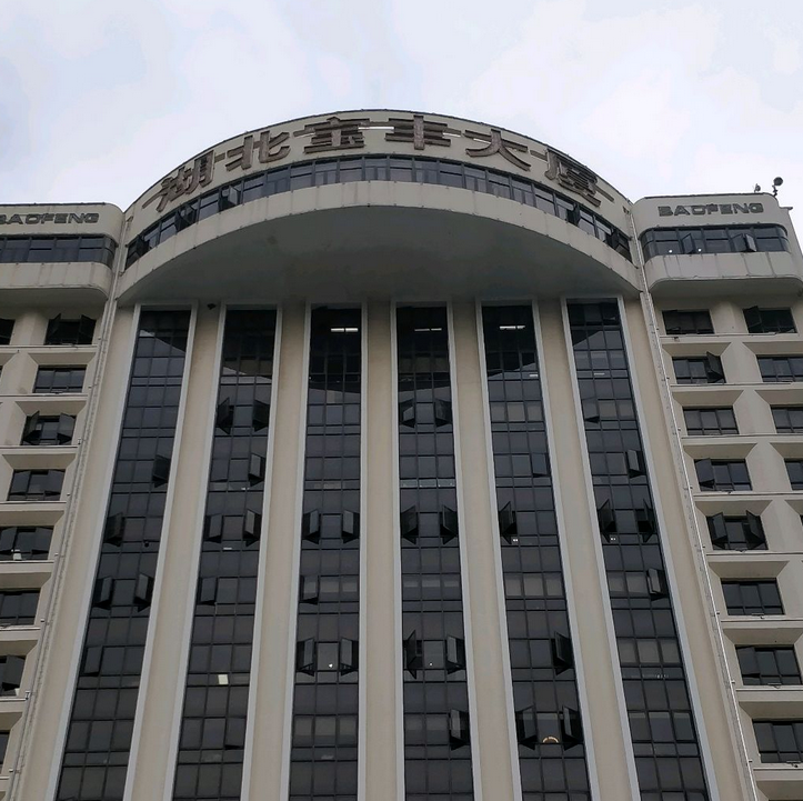  p>湖北宝丰大厦位于深圳市罗湖区万象城,共计房屋10户. /p>