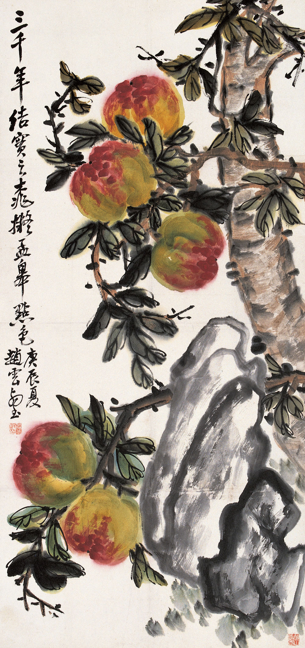 赵子云 全网资源