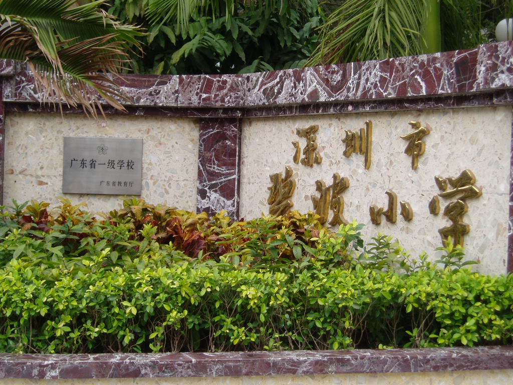 深圳市碧波小学