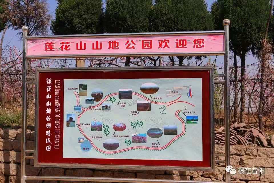 莲花山山地公园