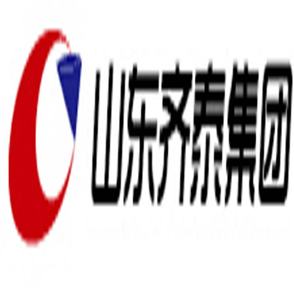山东齐泰实业集团股份有限公司
