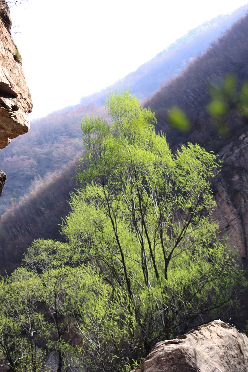 猪圈沟自然风景区
