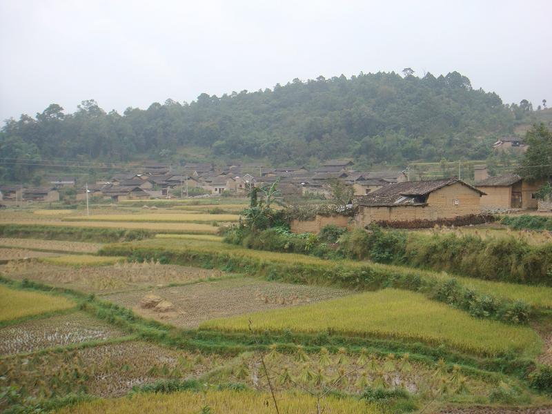 data-lemmaid="1204918">广南县 /a>那洒镇岜皓村,属于 a target="