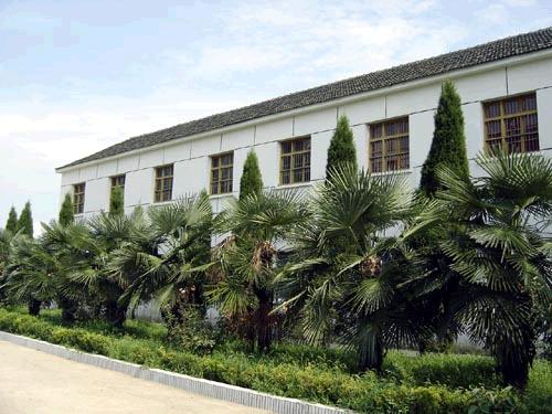 六安市徐集中学