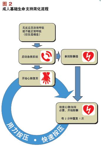 国际心肺复苏指南
