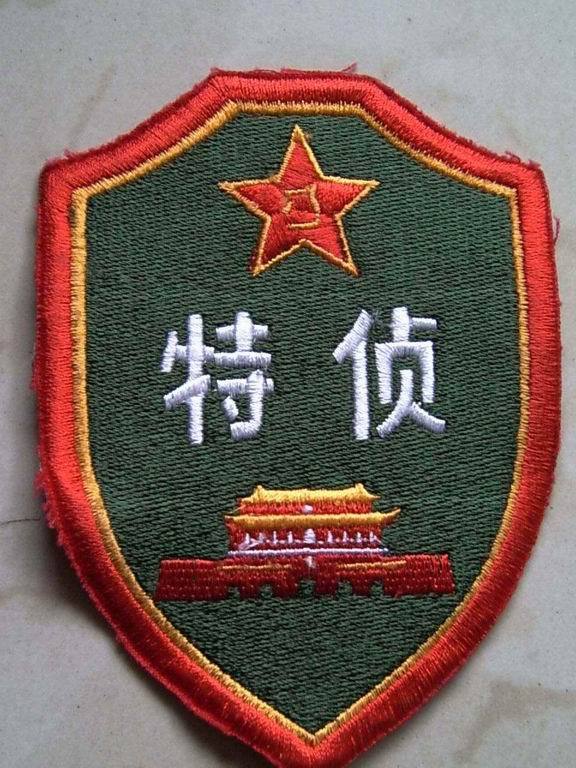  p> a target="_blank" href="/item/特种侦察/3137430" data-lemmaid