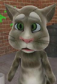 会说话的猫汤姆猫