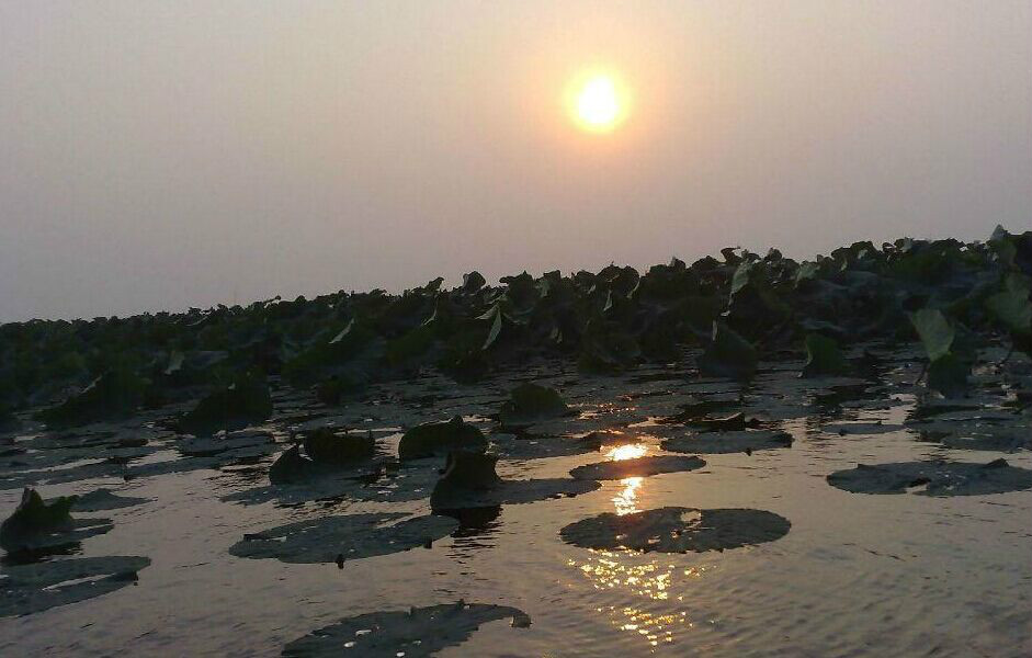 新民小西湖