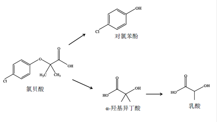 氯贝酸