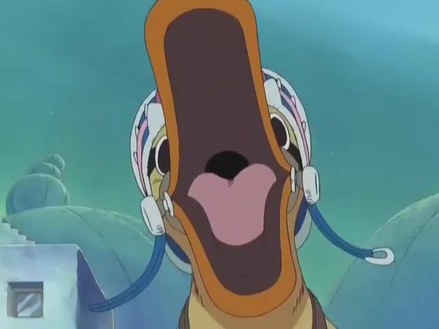 data-lemmaid="8904">海贼王 /a>动漫中一只有爪子的鸭子, a target="